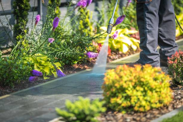 Hartley, IA Pressure Washing Services Company