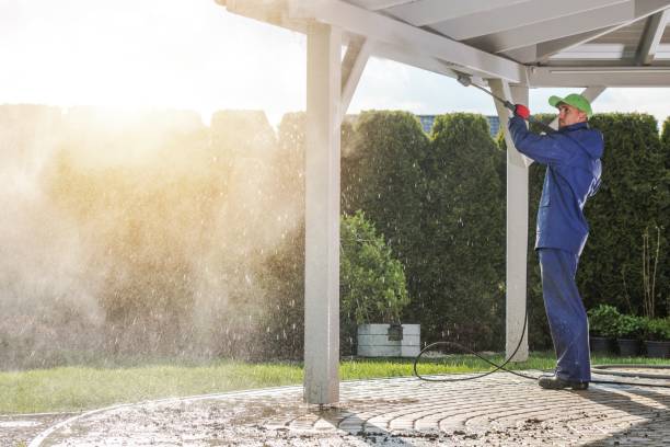 Best Gutter Cleaning and Brightening in Hartley, IA