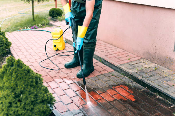 Best Vinyl Siding Pressure Washing in Hartley, IA