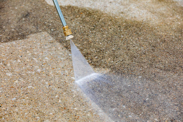 Best Roof Cleaning and Mildew Removal in Hartley, IA