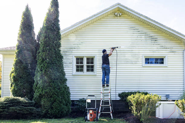 Best Window and Screen Pressure Cleaning in Hartley, IA